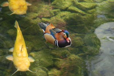 DSC_0024.jpg