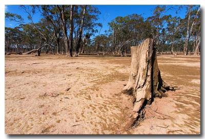 Outback Australia  *