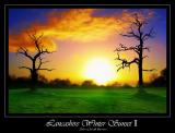 Lancashire winter Sunset I