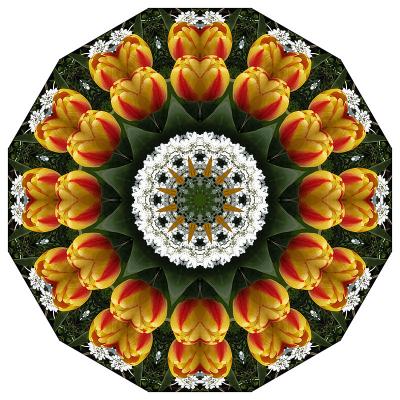 tulips2.jpg