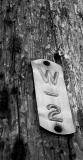 W2*