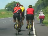 <b>cycling for fun vs. cycling for work</b>
