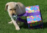 Ive got to find out whats in here  *