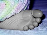 Dead to the World Foot
