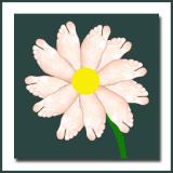 Famous Foot  Flower