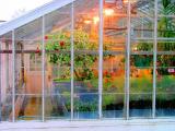 Winter Greenhouse<br>by David Blauer