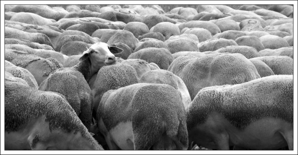 you want to be noticed ?