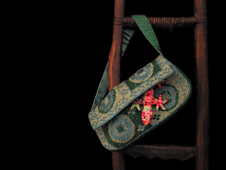 Lizard Bag*
