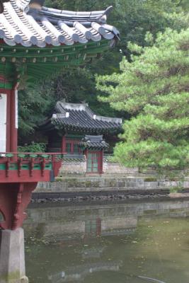 7832 changdeokgung1.jpg