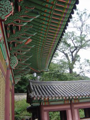 7834 A5200 changdeokgung1.jpg