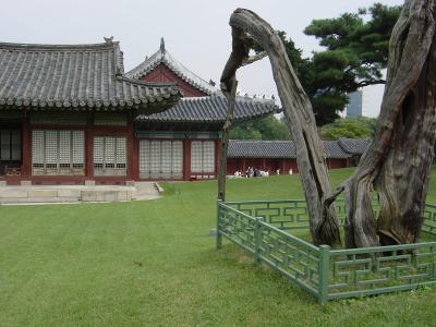 7842 A5237 jongmyo1.jpg
