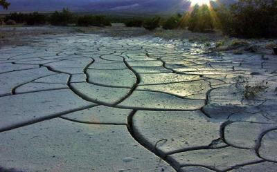 Mud Flats - West