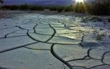 Mud Flats - West