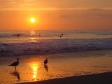 Salt Creek Sunset