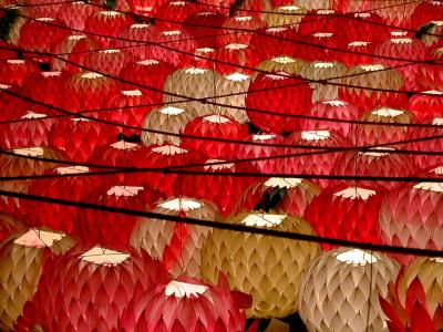 Lanterns for Buddha's 2545th Birthday