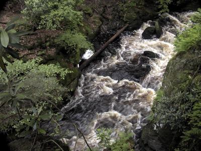 DSCN9006.jpg