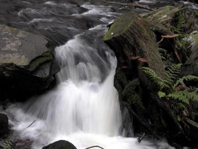 DSCN9066.jpg