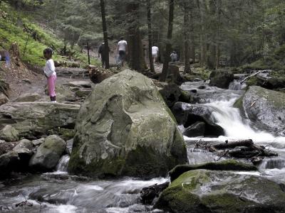 DSCN9070.jpg