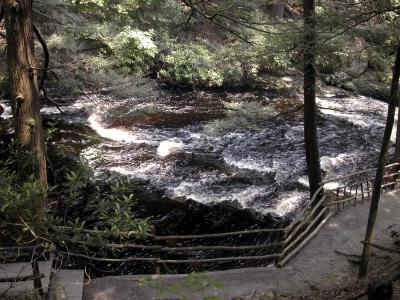 DSCN9118.jpg