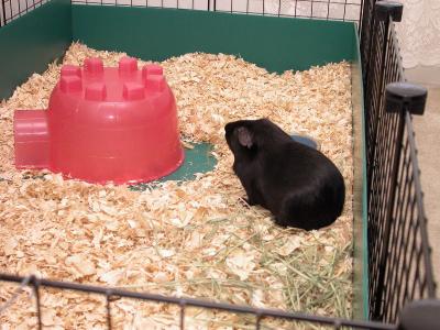 DSCN9658.jpg