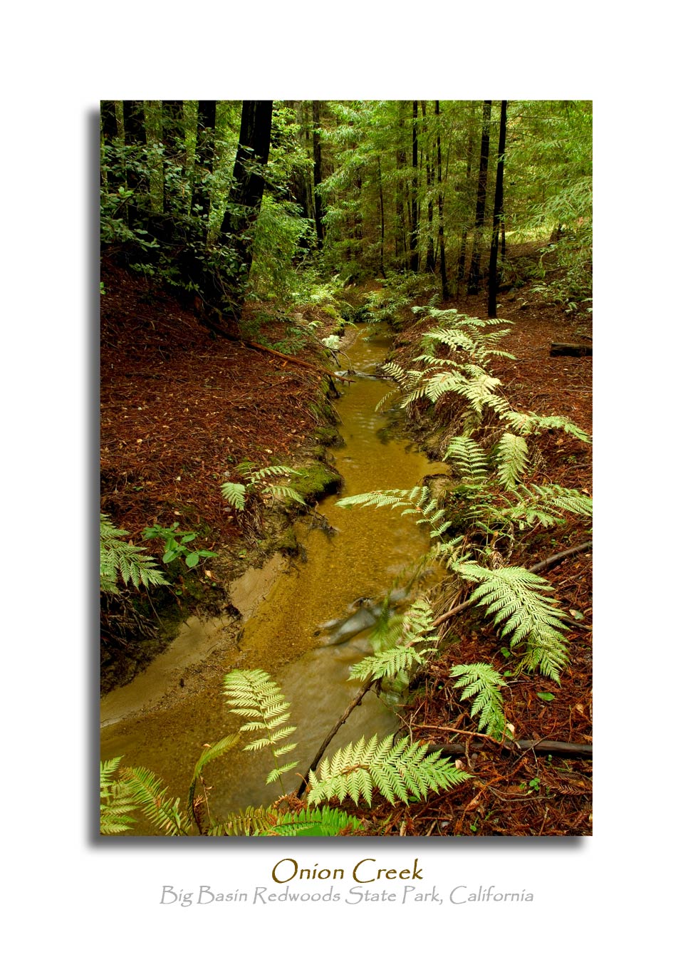 Onion Creek