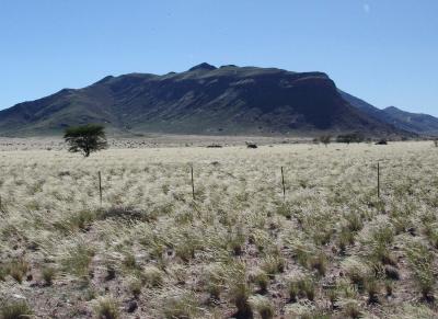 Namibia 948s.jpg