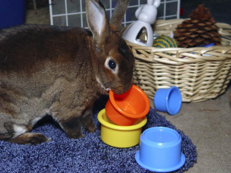 I Know Those Oat Groats Are In Here Somewhere!