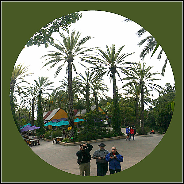 Zoo SP