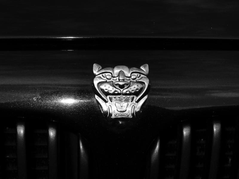 06-04-05 jaguar