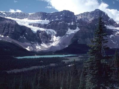Crowfoot glacier.jpg