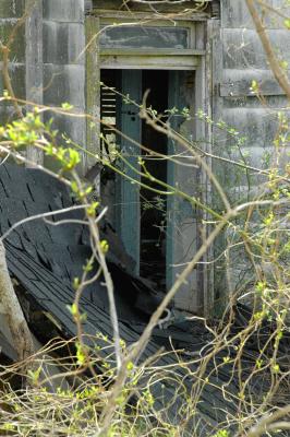 In the woods  April 6