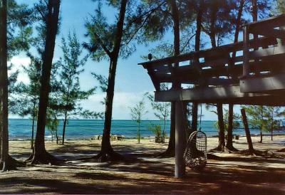 Pat O'Neal's Paradise n Bimini, 1988