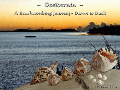 Beachcoming Journey ~  Dawn to Dusk ~    Slideshow-MedSz