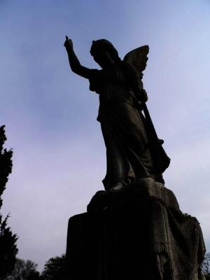 P1000617.jpg