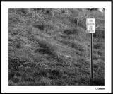 1/16/05 - Duh?