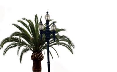 palma.jpg