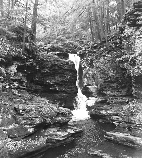 Waterfall in Ricketts Glen SP