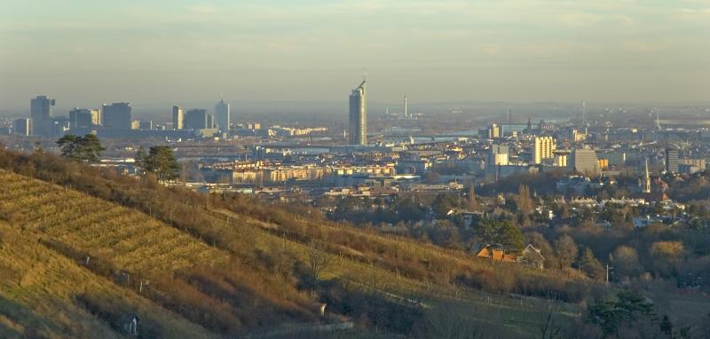 Vienna from Krapfenwald