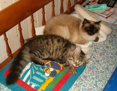 Simba (Feliks) shares his new ...