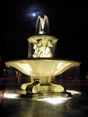 Nite Fountain