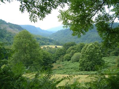 Valley near Betws-y-Coed, Wales