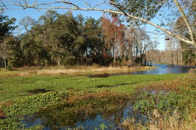 View from the dam