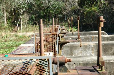 Flood Gate mechanisims