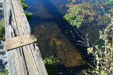 Catwalk over spillway