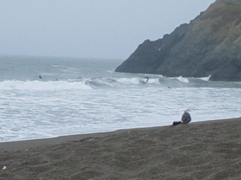 Marin County