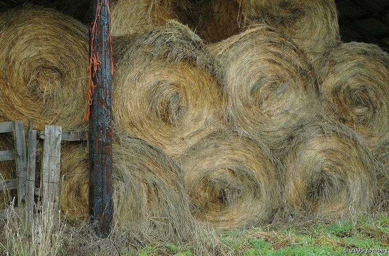 Hay bales