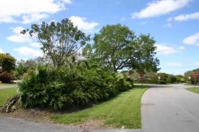 Road in front.
