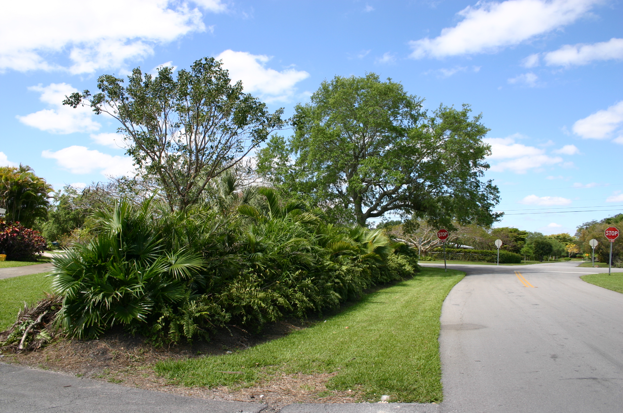 Road in front.