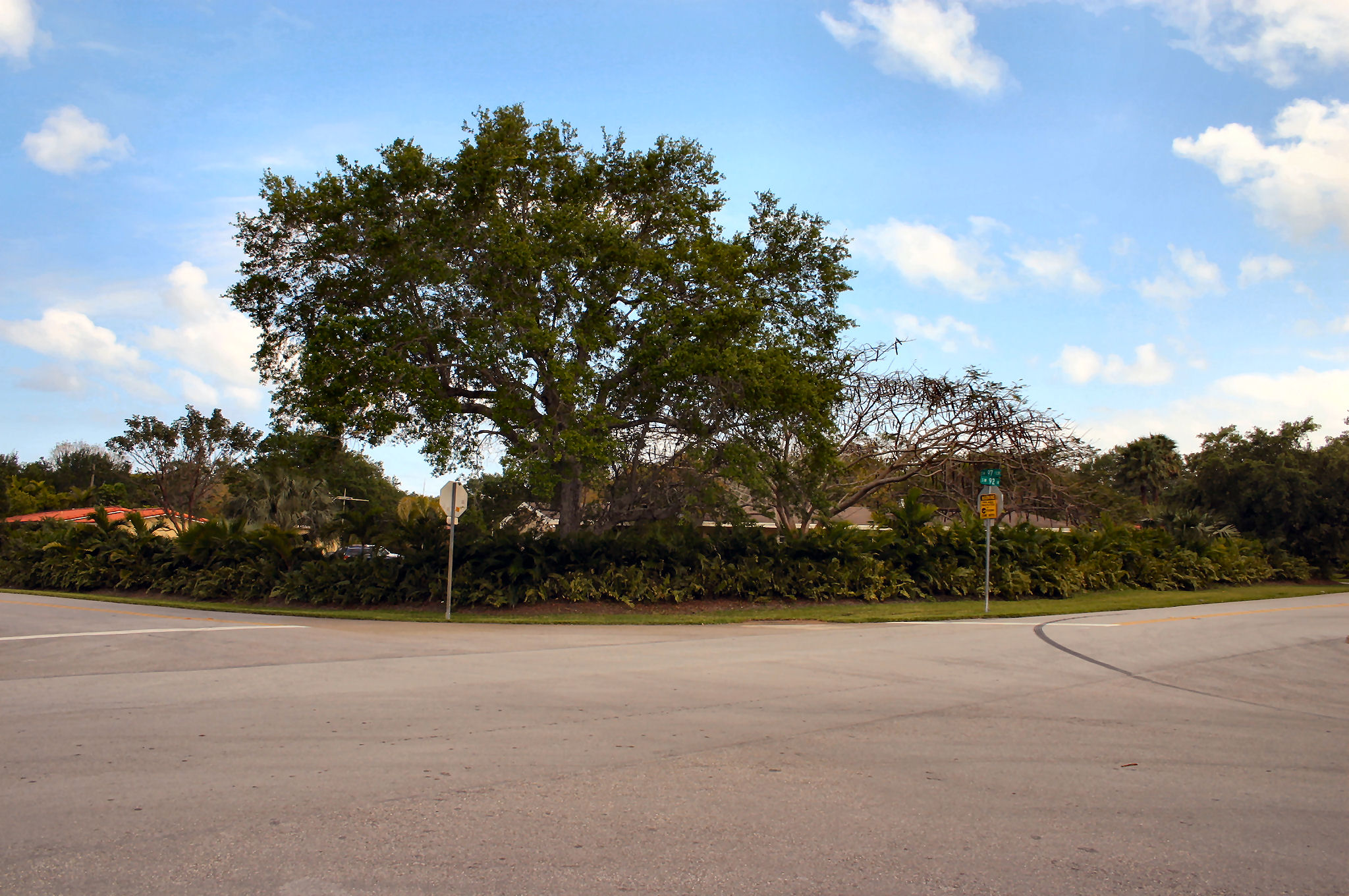Towards corner property.