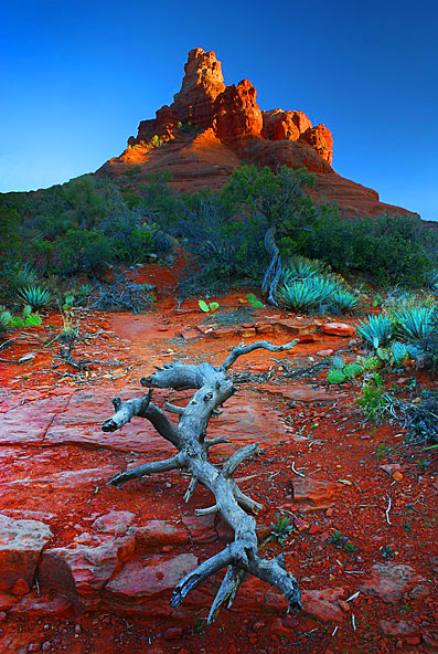 Bell Rock Sunset